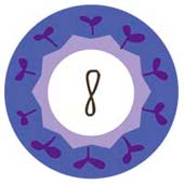 Número de Nacimiento 8