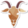 Capricornio