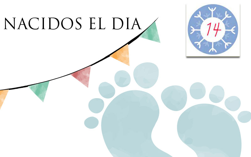 Horóscopo Número 14 | Carácter, Dinero y Desafíos si Naciste el Día 14